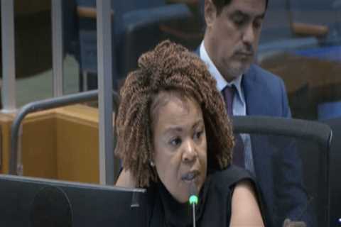 The Political Landscape of Gun Control and Second Amendment Rights in Los Angeles County, California