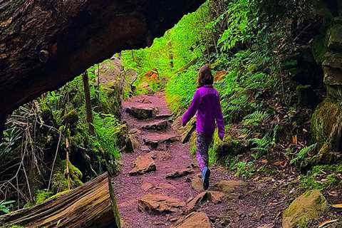 The Ultimate Guide to Youth Events in Southern Maryland