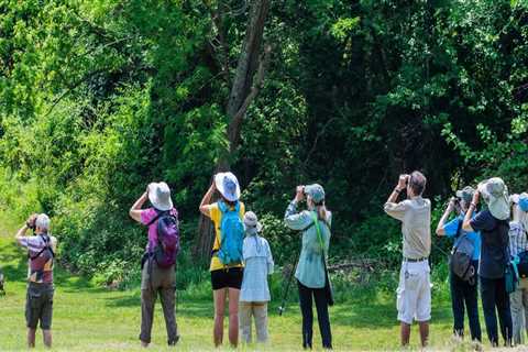 Youth Events in Southern Maryland: A Comprehensive Guide to Fun and Engaging Activities for Young..