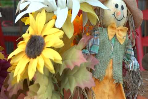 The Impact of Cultural Events on East Tennessee's Economy