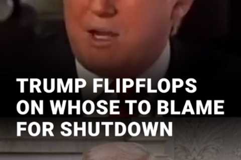 The Government Shutdown