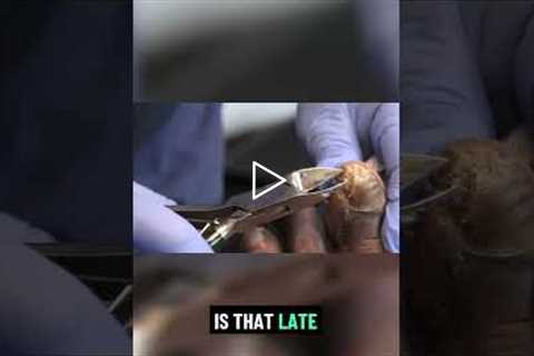 Strategies for Maintaining Health with Diabetes 🩺