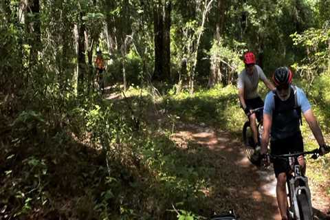 Bike Festivals in Leon County, Florida: A Haven for Professional Cyclists
