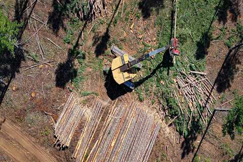 The Crucial Role of Public Servants in Managing Government Budgets in Western Oregon