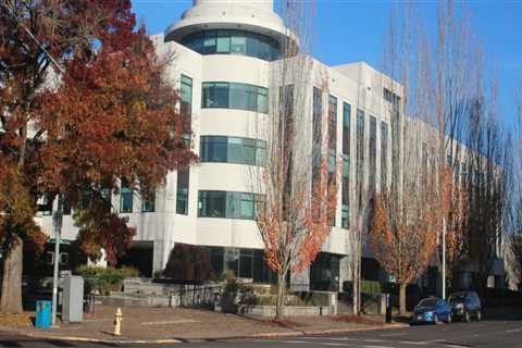 The Impact of Social Media on Political Advocacies in Multnomah County, Oregon