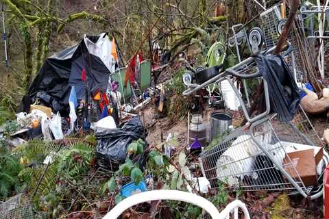 The Impact of Political Advocacies on Local Businesses in Multnomah County, Oregon: An Expert's..