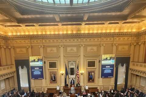 The Key Issues in Democratic Campaigns in Northern Virginia: An Expert's Perspective