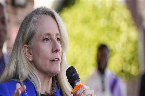 The Winning Strategies of Democratic Campaigns in Northern Virginia: An Expert's Perspective