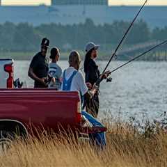 The True Cost of Political Campaigns in Mobile, Alabama