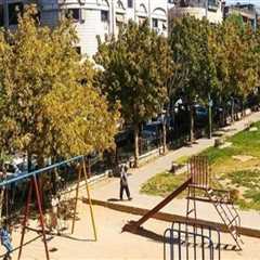The Importance of Governance in Managing Public Parks and Recreational Facilities in Damascus,..