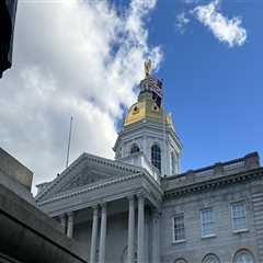 The Impact of Election Campaigns in Hillsborough County, New Hampshire: An Expert's Perspective