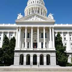 Exploring the Effects of Budget Constraints on Governance Decisions in Southern California