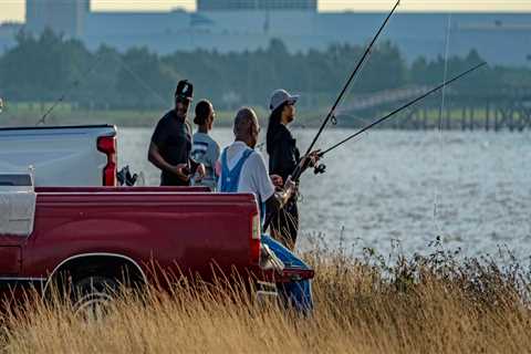 The True Cost of Political Campaigns in Mobile, Alabama