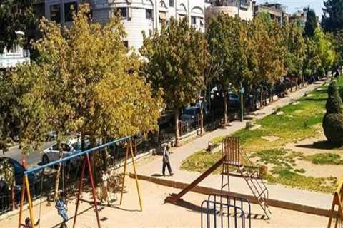 The Importance of Governance in Managing Public Parks and Recreational Facilities in Damascus,..