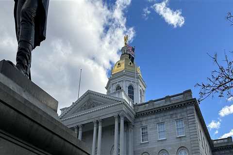 The Impact of Election Campaigns in Hillsborough County, New Hampshire: An Expert's Perspective