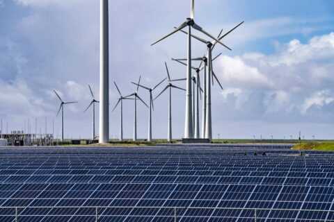 Funding for protected areas fell in 2024, threatening global nature target