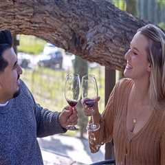 Exploring All-Inclusive Wine Event Packages in Central California