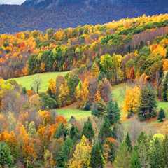 The Ultimate Guide to Food Events in Western Massachusetts: Best Times to Attend