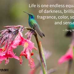 Earth911 Inspiration: Life Is An Endless Equation