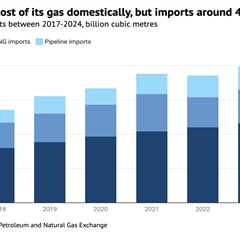 Explainer: Why gas plays a minimal role in China’s climate strategy