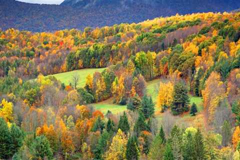 The Ultimate Guide to Food Events in Western Massachusetts: Best Times to Attend