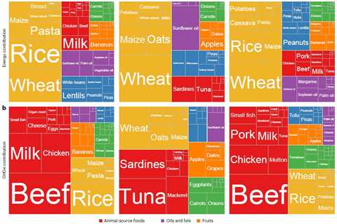 Adopting low-cost ‘healthy’ diets could cut food emissions by one-third