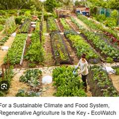 Sustainable and Regenerative Farming