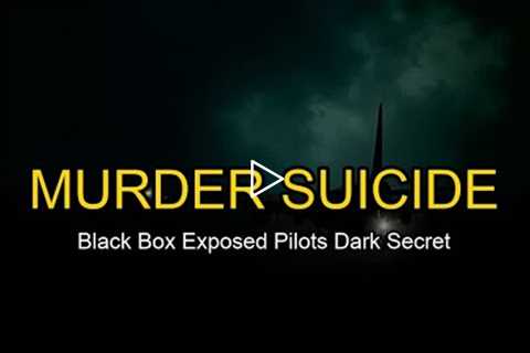What the Black Box Revealed: The Pilot Who Crashed His Own Plane on Purpose
