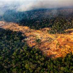 5 ways to build a green energy future (with limited mining)