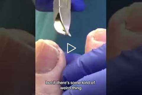 I Had MORE Neanderthal DNA Than 97% of People?! 🧬😳