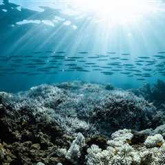 Global Ocean Treaty: Australia Ratifies