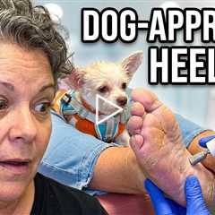 Cracked Heel Treatment | When You Don’t Even Feel It Split | I'm Being Supervised by a Dog!