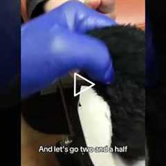 Three months is too long for nail check-ups. Let's schedule it for two and a half weeks instead