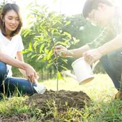 Take Action on Arbor Day to Help Our Planet