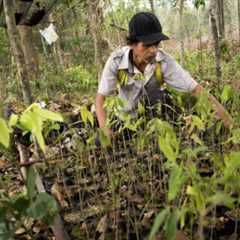 Broken debt system must be fixed to confront future climate shocks
