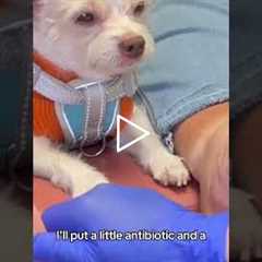 The Final Result A Perfect 1.8cm Crack | This Heel Crack Needs Close Monitoring 👣