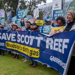 Don’t be so reckless: Hands of Scott Reef