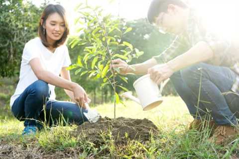 Take Action on Arbor Day to Help Our Planet