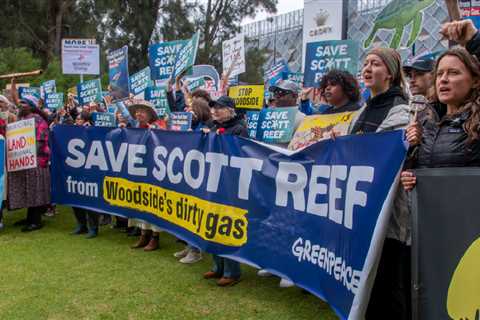 Don’t be so reckless: Hands of Scott Reef