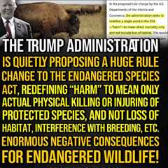 Trump’s Damage to Our Planets and All Life Forms Is Boundless