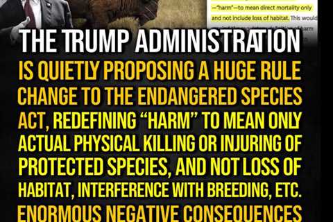 Trump’s Damage to Our Planets and All Life Forms Is Boundless