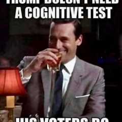 Understanding Trump Voters